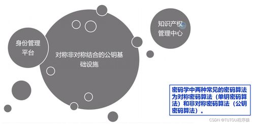物联网安全架构、基础设施与安全软件开发 构建可信的互联世界